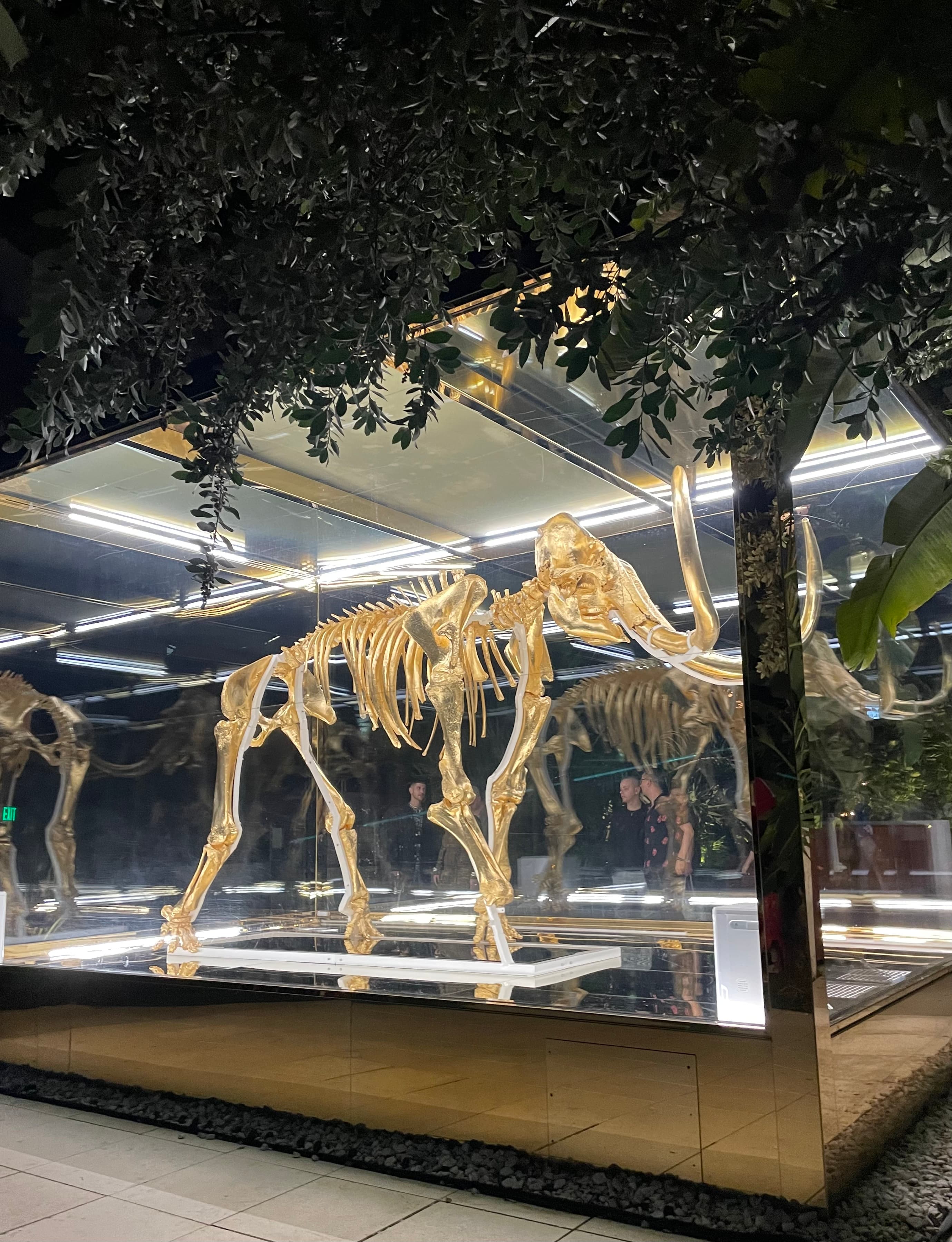 Gilded woolly mammoth skeleton in a lit glass and mirrored case under trees at night, with visitors reflected in the glass.