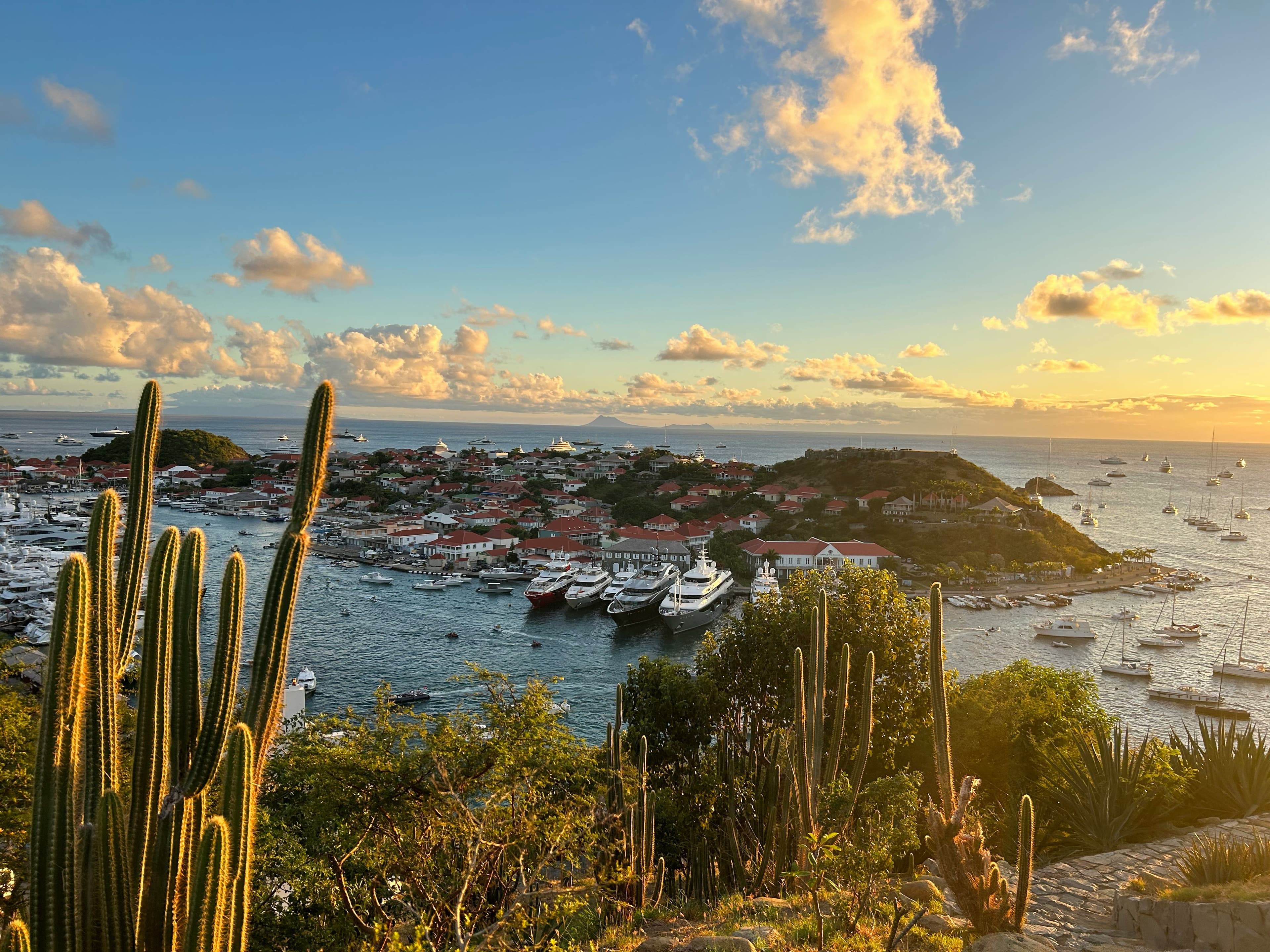 Superyachts moored in Gustavia harbour, St Barths, at sunset, with red-roofed houses on the hillside, yachts anchored offshore and cactus in the foreground