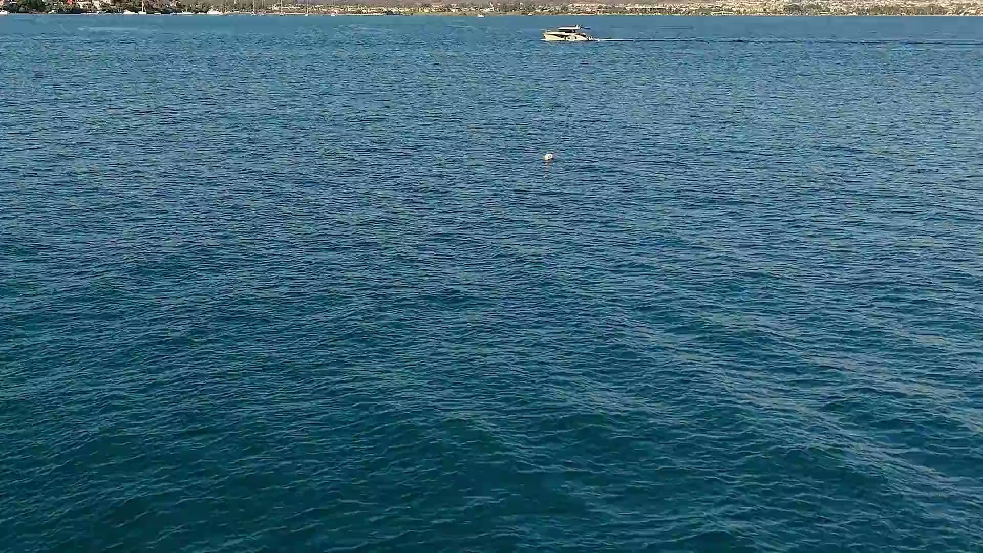 FREEDOM 2 yacht video