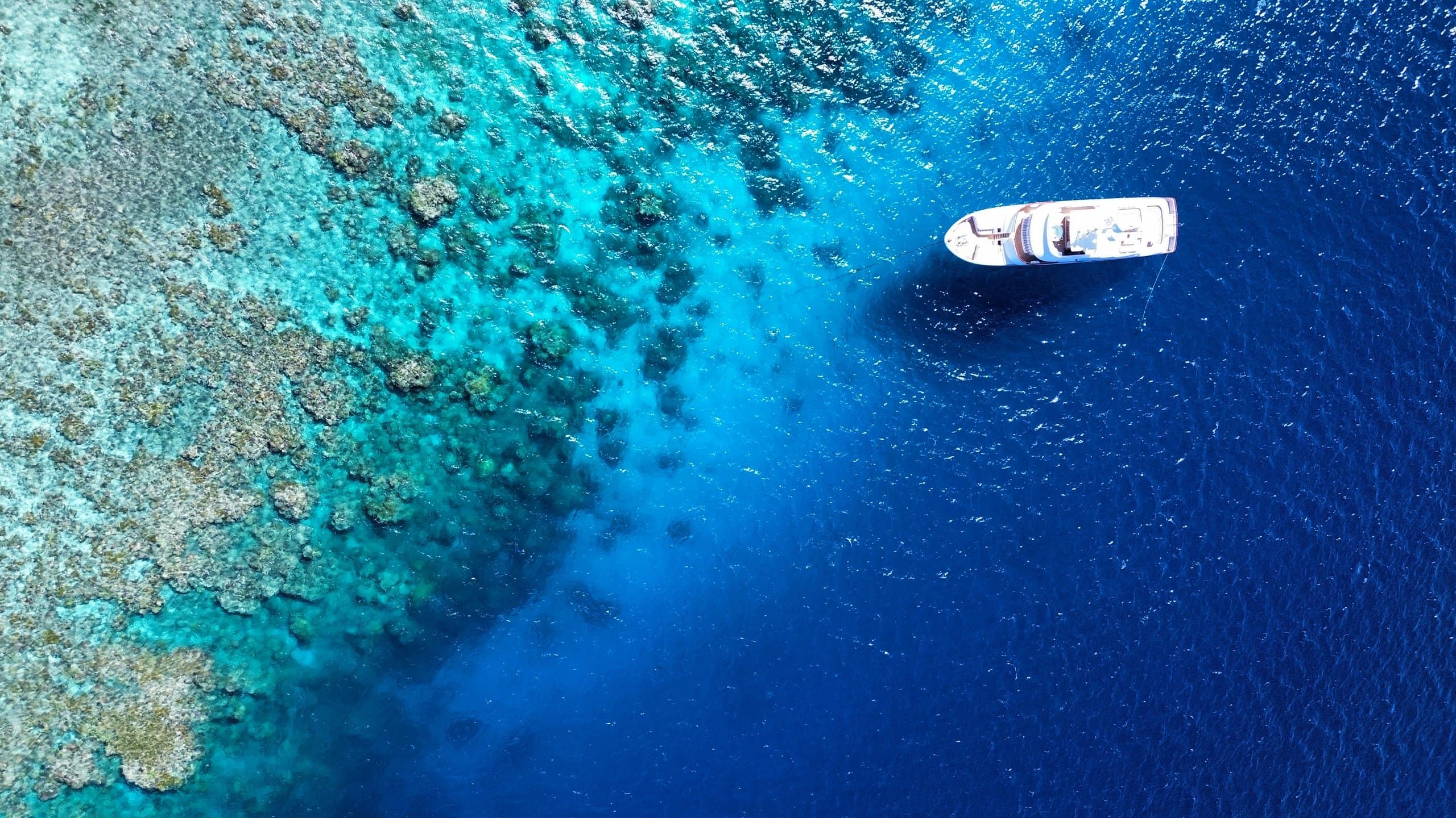 BELUGA | Drivas Yachts