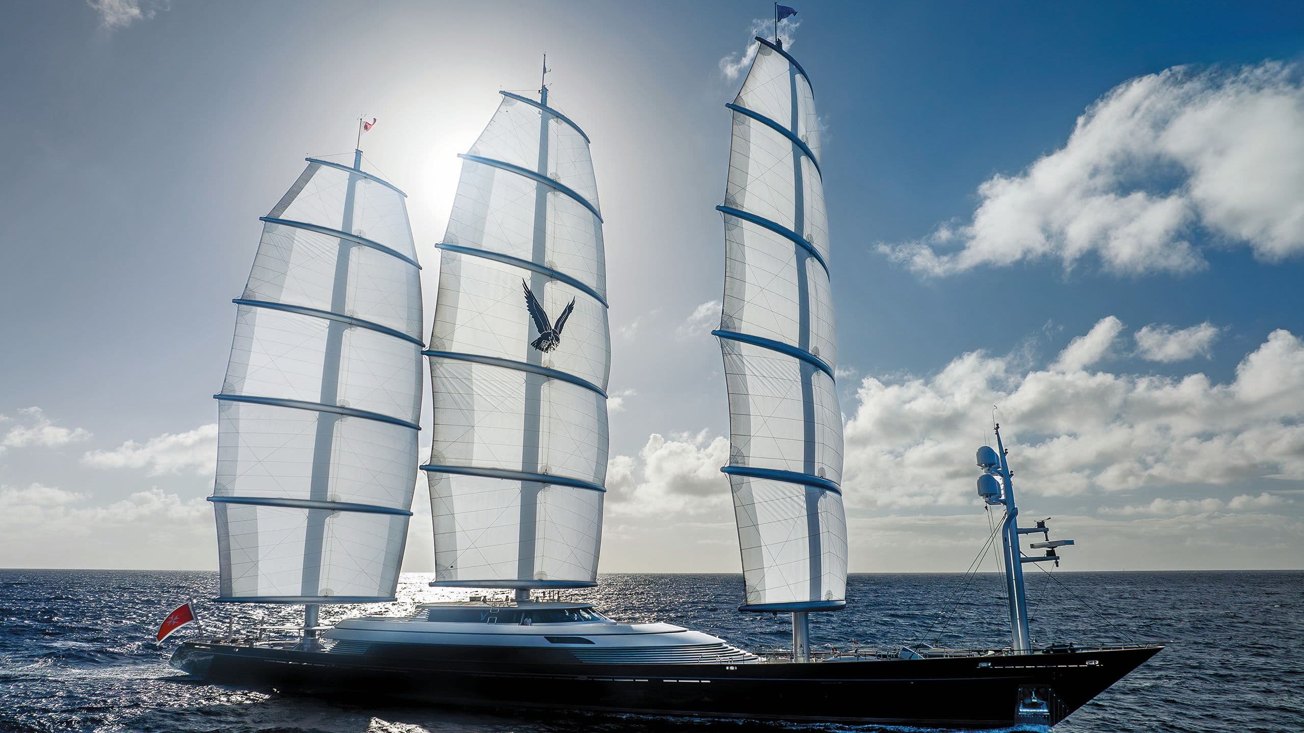 MALTESE FALCON
